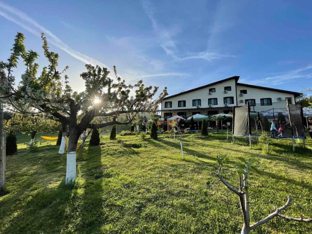 Family Hotel Borovitsa Pŭdartsi Exterior foto
